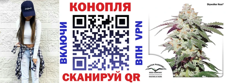 где продают   Петровск-Забайкальский  Бошки марихуана индика 